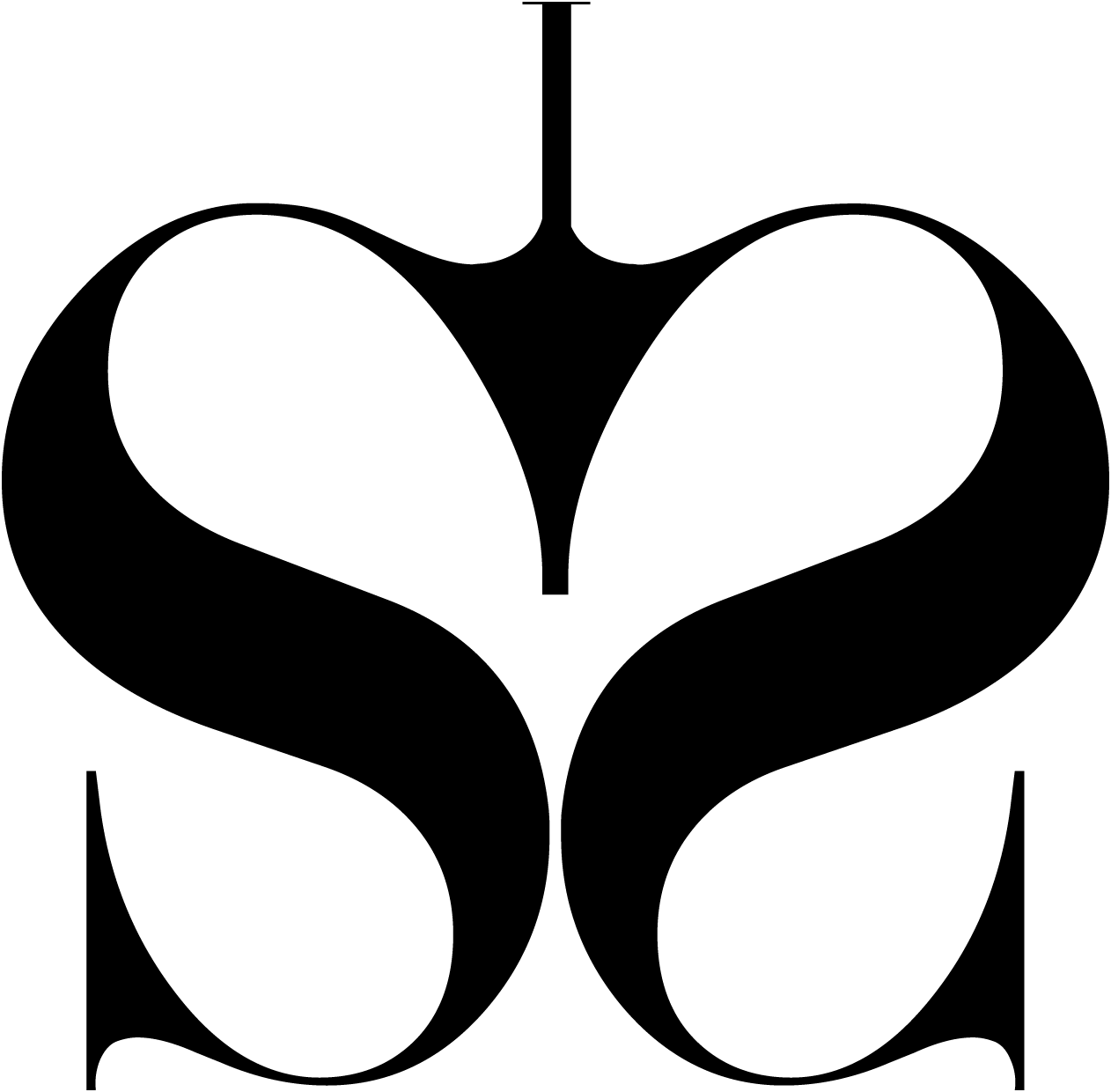 Schaduwspiegel Logo